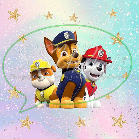 paw patrol77