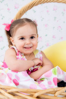 jeneaster201400010