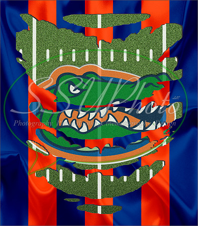 Gators16