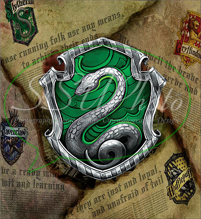 HarryPPatterns1