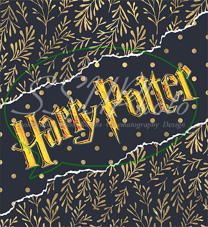 HarryPPatterns29