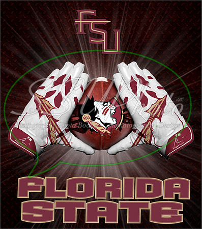 FSU4