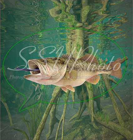 3d Fishing13