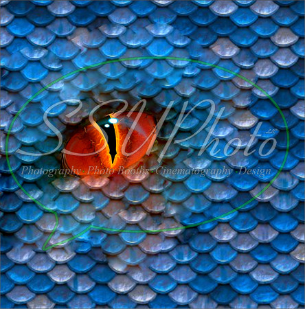 DragonEyes210