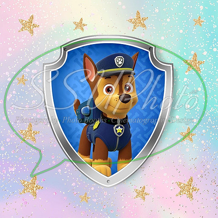 paw patrol75