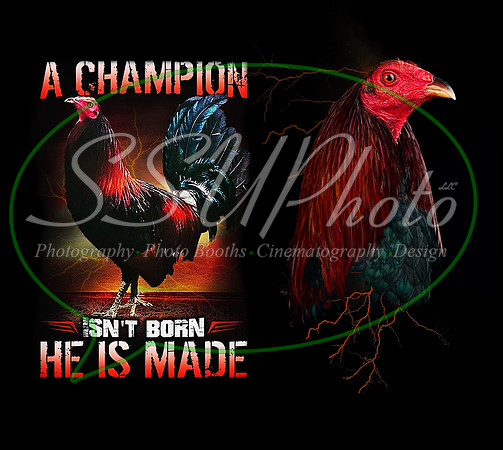 ChampionRooster
